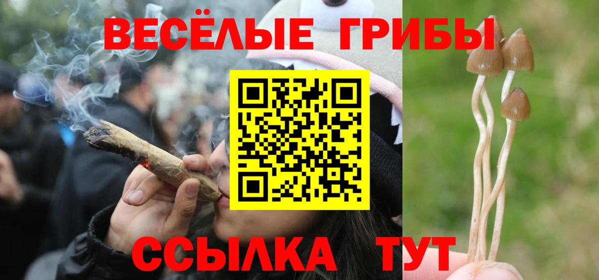 Галлюциногенные грибы Magic Shrooms Тихорецк